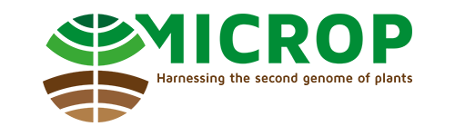 Microp