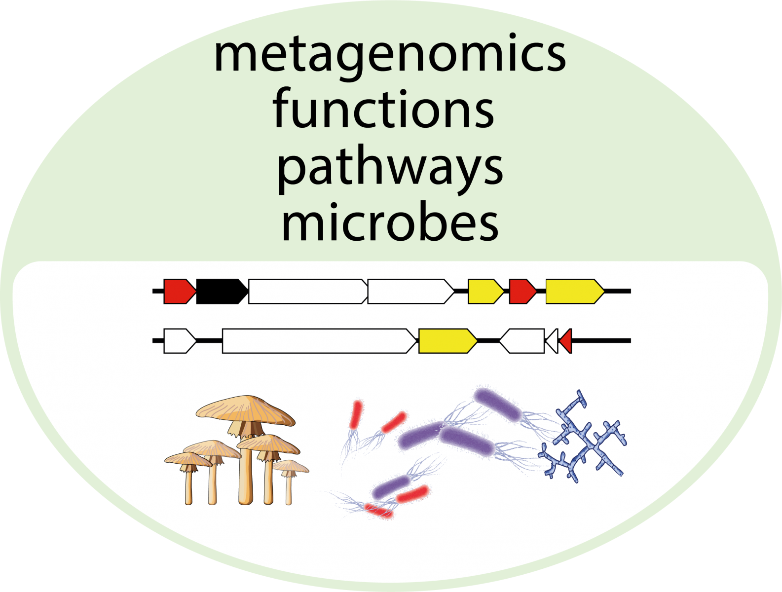 Graphic showing schematic genes, fungi and microbes