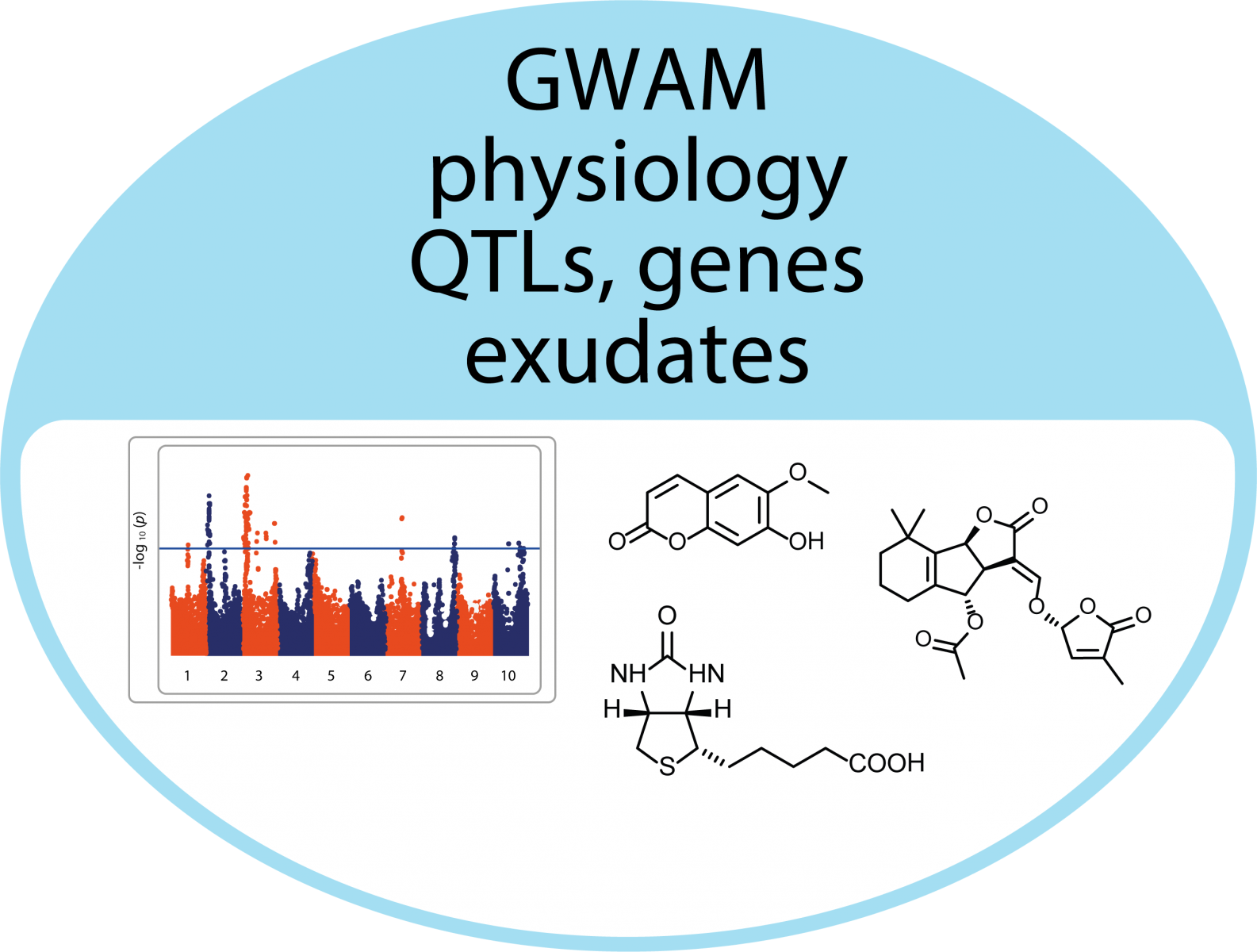 genome-wide association mapping of physiology quantitative trait loci