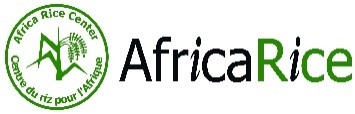 Africa Rice | Rice Research logo
