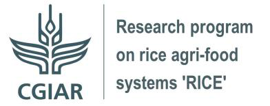 CGIAR Rearch program on rice - logo